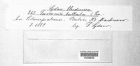 Image Associated With the Occurence